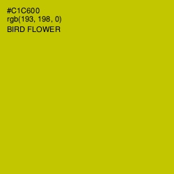 #C1C600 - Bird Flower Color Image