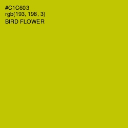 #C1C603 - Bird Flower Color Image