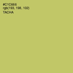 #C1C666 - Tacha Color Image