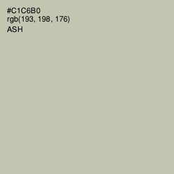 #C1C6B0 - Ash Color Image