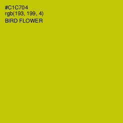 #C1C704 - Bird Flower Color Image