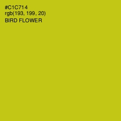 #C1C714 - Bird Flower Color Image