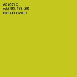 #C1C71C - Bird Flower Color Image