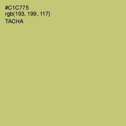 #C1C775 - Tacha Color Image