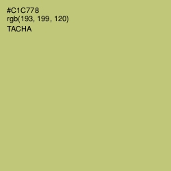 #C1C778 - Tacha Color Image