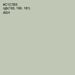#C1C7B5 - Ash Color Image