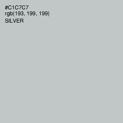 #C1C7C7 - Silver Color Image