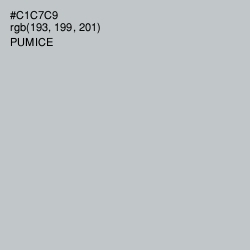 #C1C7C9 - Pumice Color Image