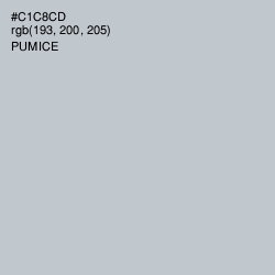 #C1C8CD - Pumice Color Image