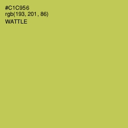 #C1C956 - Wattle Color Image