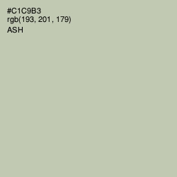 #C1C9B3 - Ash Color Image