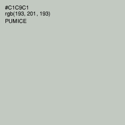 #C1C9C1 - Pumice Color Image