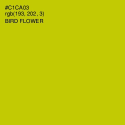 #C1CA03 - Bird Flower Color Image