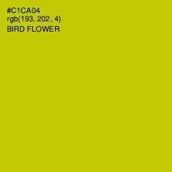 #C1CA04 - Bird Flower Color Image