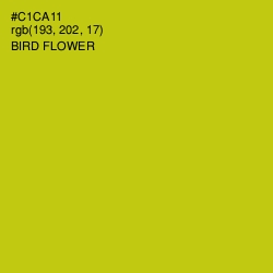 #C1CA11 - Bird Flower Color Image