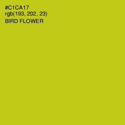 #C1CA17 - Bird Flower Color Image