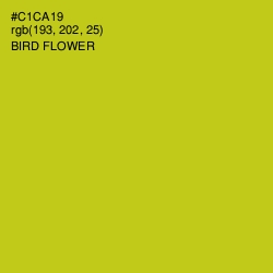 #C1CA19 - Bird Flower Color Image