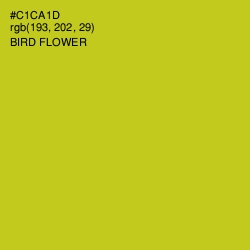 #C1CA1D - Bird Flower Color Image