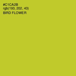 #C1CA2B - Bird Flower Color Image