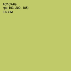 #C1CA69 - Tacha Color Image