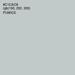 #C1CAC8 - Pumice Color Image