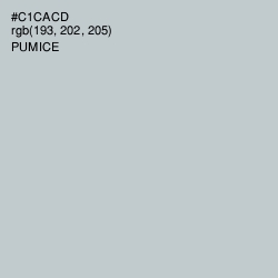 #C1CACD - Pumice Color Image