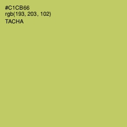 #C1CB66 - Tacha Color Image