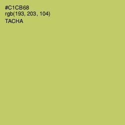 #C1CB68 - Tacha Color Image