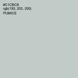 #C1CBC8 - Pumice Color Image