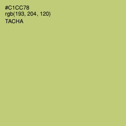 #C1CC78 - Tacha Color Image