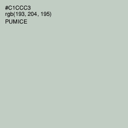 #C1CCC3 - Pumice Color Image