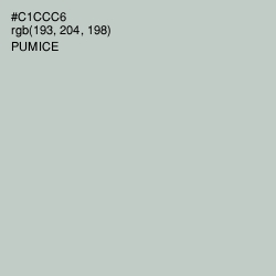 #C1CCC6 - Pumice Color Image