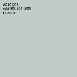 #C1CCC8 - Pumice Color Image