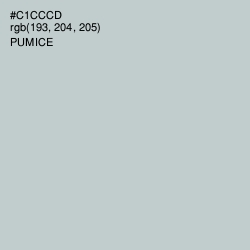 #C1CCCD - Pumice Color Image