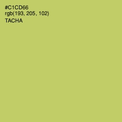 #C1CD66 - Tacha Color Image