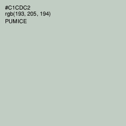 #C1CDC2 - Pumice Color Image