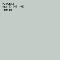 #C1CDC6 - Pumice Color Image