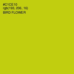 #C1CE10 - Bird Flower Color Image