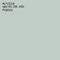 #C1CEC8 - Pumice Color Image