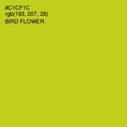 #C1CF1C - Bird Flower Color Image