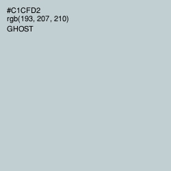 #C1CFD2 - Ghost Color Image