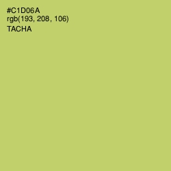 #C1D06A - Tacha Color Image