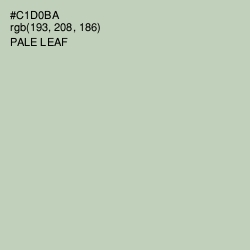 #C1D0BA - Pale Leaf Color Image