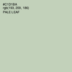 #C1D1BA - Pale Leaf Color Image