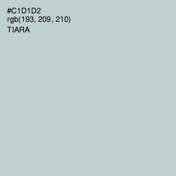 #C1D1D2 - Tiara Color Image