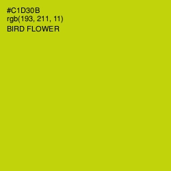 #C1D30B - Bird Flower Color Image