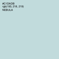 #C1DADB - Nebula Color Image