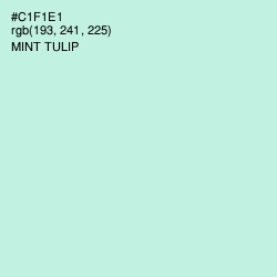 #C1F1E1 - Mint Tulip Color Image