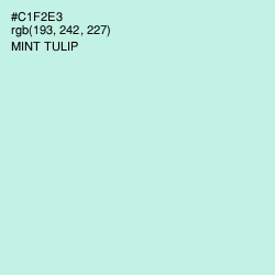 #C1F2E3 - Mint Tulip Color Image