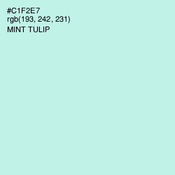 #C1F2E7 - Mint Tulip Color Image